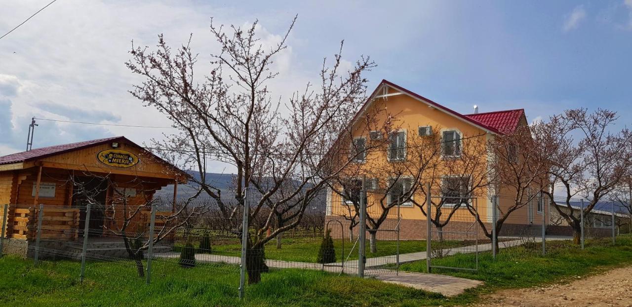 Vila Conacul Mierii Straseni Exteriér fotografie
