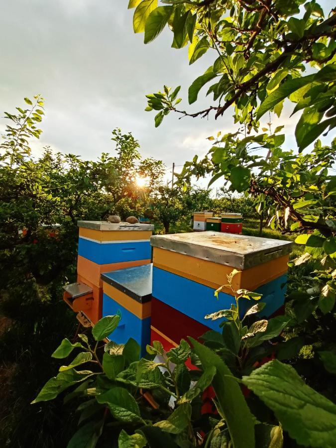 Vila Conacul Mierii Straseni Exteriér fotografie